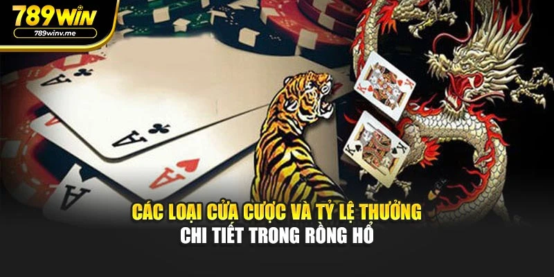 Các loại cửa cược và tỷ lệ thưởng chi tiết trong rồng hổ