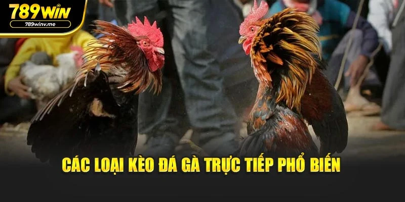 Các loại kèo đá gà trực tiếp phổ biến