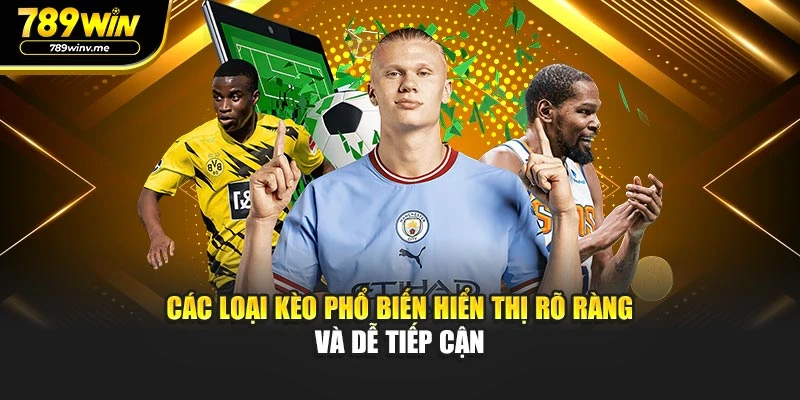 Các loại kèo phổ biến hiển thị rõ ràng và dễ tiếp cận