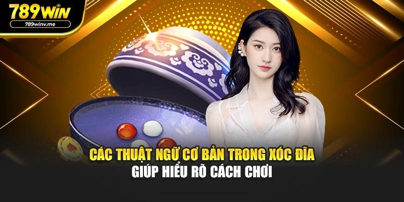Các thuật ngữ cơ bản trong xóc đĩa giúp hiểu rõ cách chơi