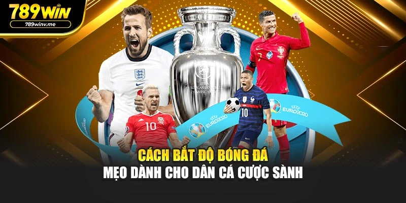 Cách Bắt Độ Bóng Đá - Mẹo Dành Cho Dân Cá Cược Sành