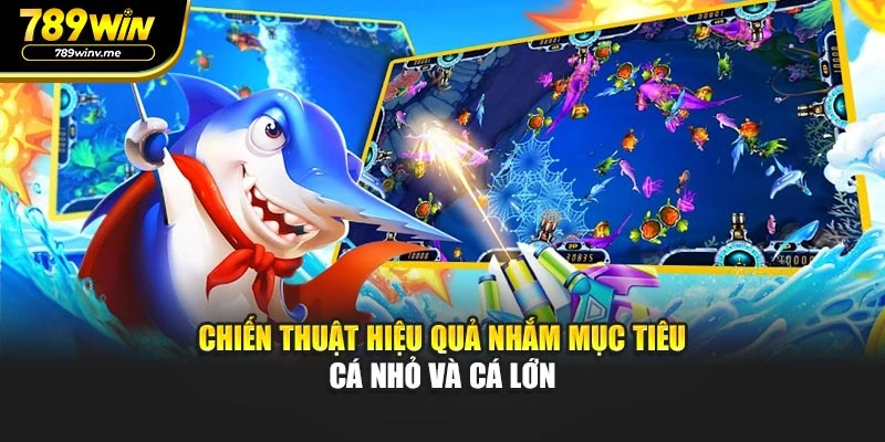 Chiến thuật hiệu quả nhắm mục tiêu cá nhỏ và cá lớn
