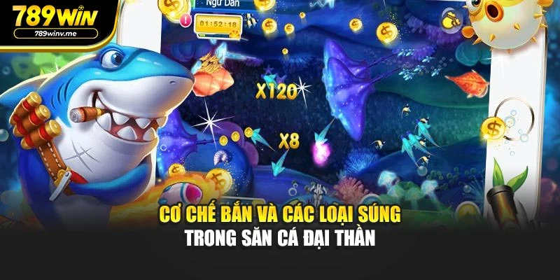 Cơ chế bắn và các loại súng trong săn cá đại thần