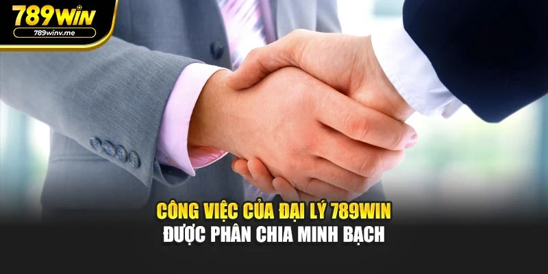 Công việc của đại lý 789WIN được phân chia minh bạch