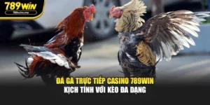 Đá Gà Trực Tiếp Casino 789WIN Kịch Tính Với Kèo Đa Dạng