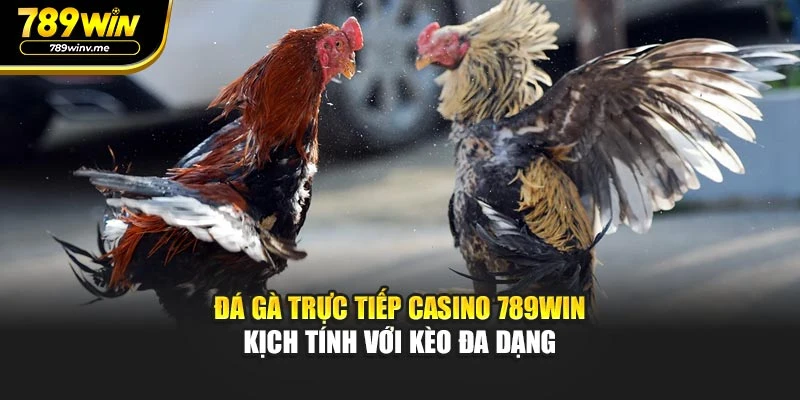 Đá Gà Trực Tiếp Casino 789WIN Kịch Tính Với Kèo Đa Dạng