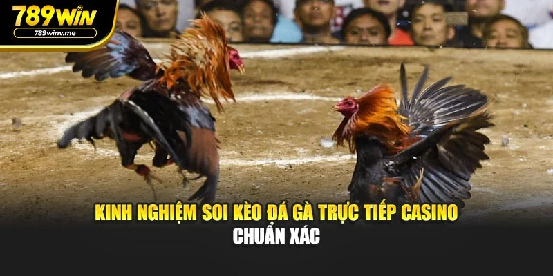 Kinh nghiệm soi kèo đá gà trực tiếp casino chuẩn xác