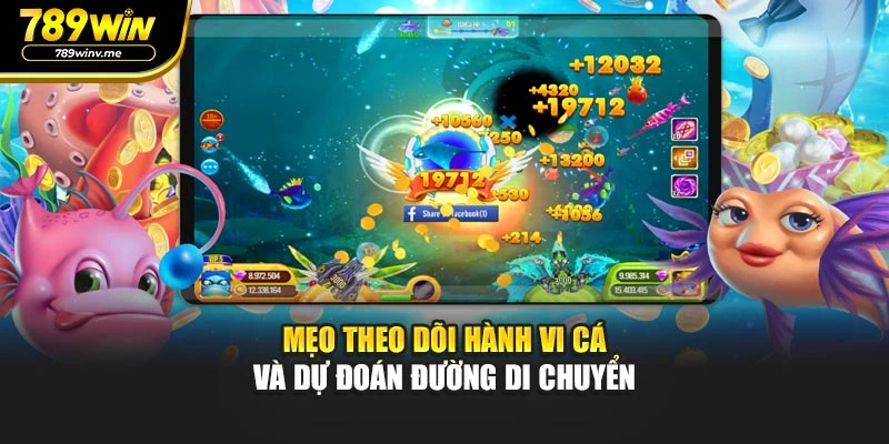 Mẹo theo dõi hành vi cá và dự đoán đường di chuyển