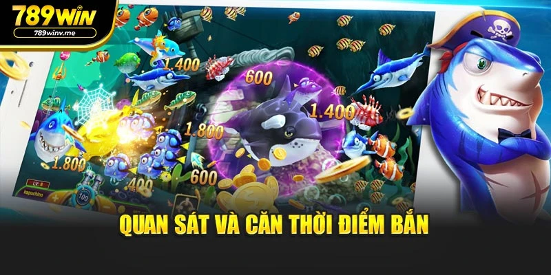 Quan sát và căn thời điểm bắn