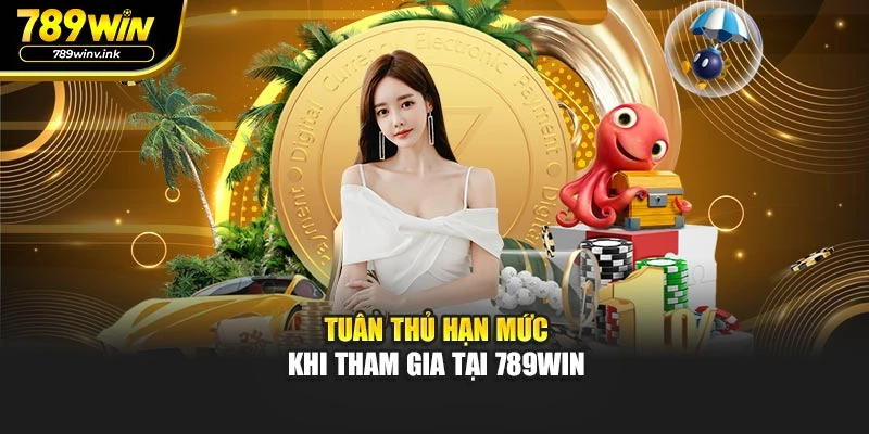 Tuân thủ hạn mức khi tham gia tại 789WIN